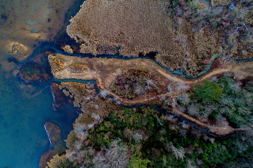 Aerial view of winding river through marshland and forest
