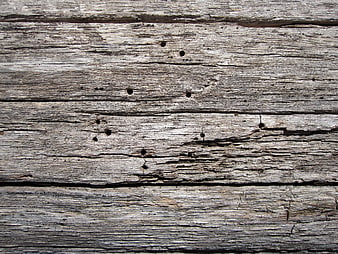 Weathered Gray Wood Texture with Knots and Cracks