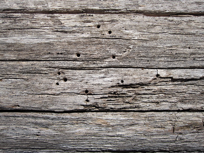 Weathered Gray Wood Texture with Knots and Cracks