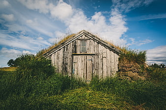 Rustic turf-roofed wooden hut in grassy landscape