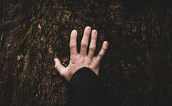 Hand touching mossy tree bark in dark forest