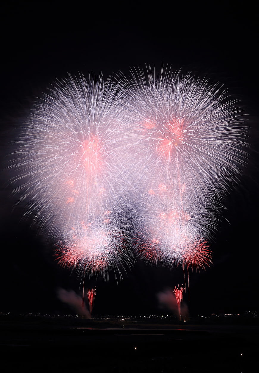 Spectacular Red and White Fireworks Display at Night