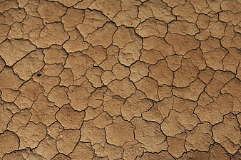 Close-up texture of dry cracked earth and desert soil