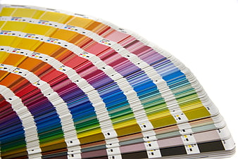 Fanned Color Swatch Book on White Background