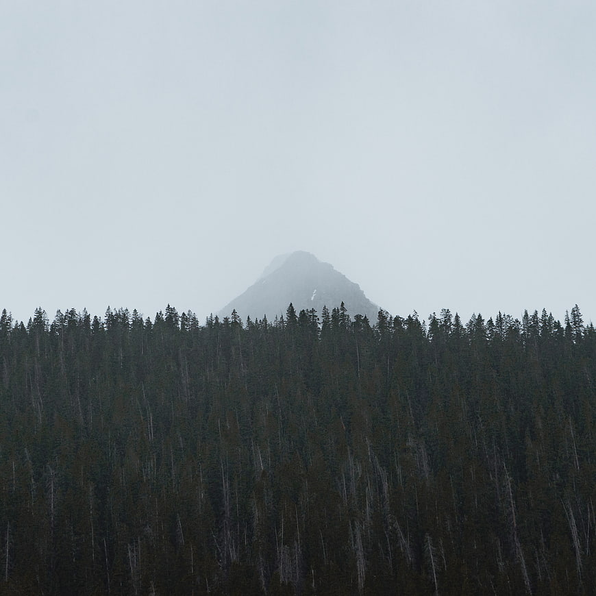 Misty Mountain Peak Rising Above Dark Forest