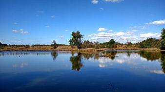 Serene Lake with Tree Reflection Under Blue Sky