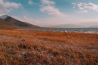 Golden grassy shoreline with distant mountains and blue lake