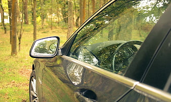 Close-up of black luxury car parked in forest