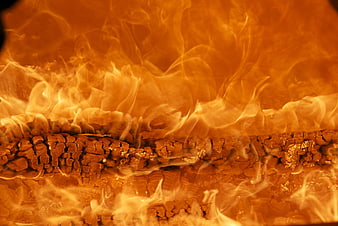 Close-up of burning wood logs with intense orange flames