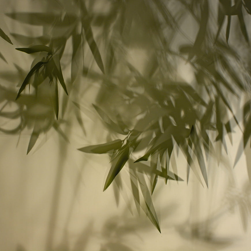 Bamboo leaf shadows on a soft beige curtain background