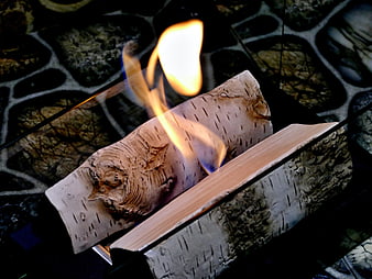 Burning birch logs in a modern glass fireplace