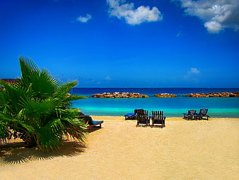 Tropical Beach with Palm Tree and Lounge Chairs