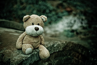 Lonely teddy bear sitting on stone wall outdoors