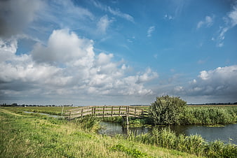 Wooden bridge over canal in Dutch meadow landscape