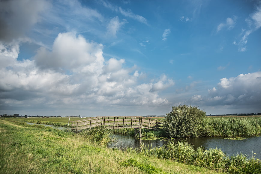 Wooden bridge over canal in Dutch meadow landscape
