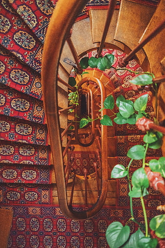 Top-down view of wooden spiral staircase with red patterned carpet