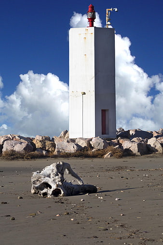 White Lighthouse on Rocky Beach with Driftwood