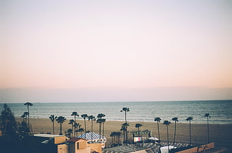 Coastal Beach View with Palm Trees and Event Stage at Sunset
