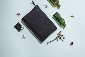 Flat lay of black notebook, green bottles, and fishing flies