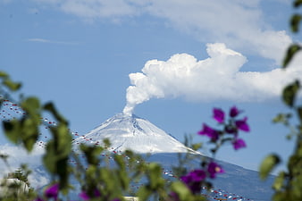 Popocatepetl Volcano Emission Viewed Through Foreground Flowers