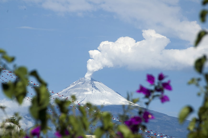 Popocatepetl Volcano Emission Viewed Through Foreground Flowers