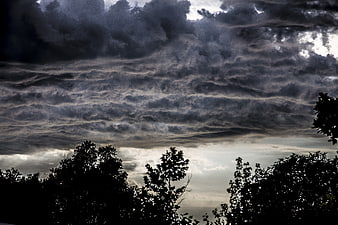 Dramatic storm clouds over silhouetted tree line