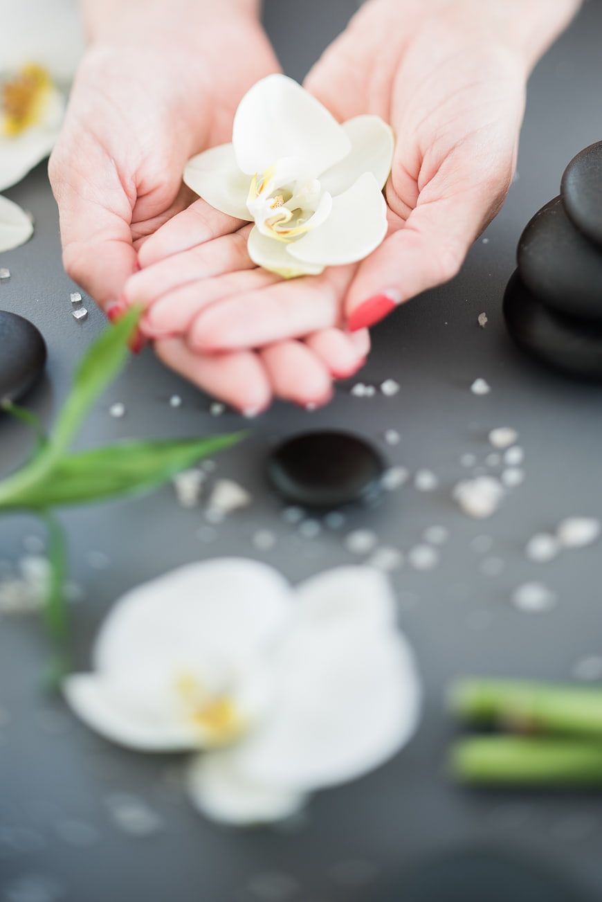 Woman's Hands Holding White Orchid Flower for Spa
