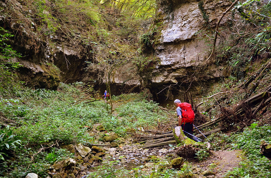 Hikers with backpacks crossing a stream in a lush forest valley