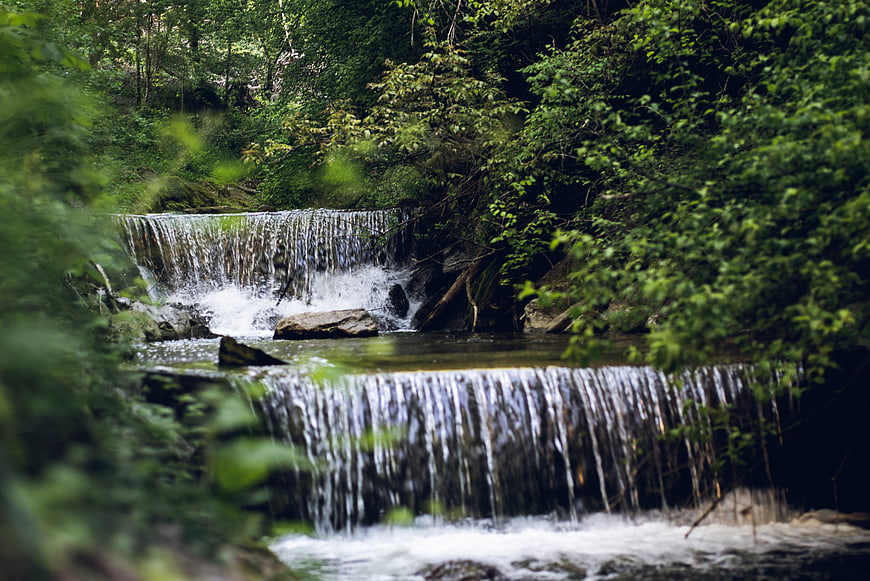 Serene Forest Stream with Small Cascading Waterfalls