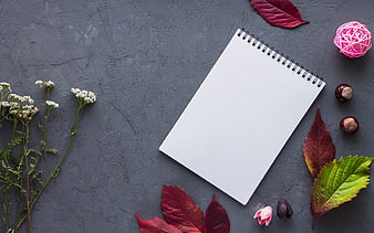 Autumn flat lay with blank notebook, leaves, and chestnuts on gray background