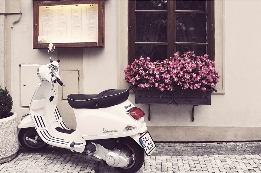 White Vespa Scooter Parked by Pink Flowers