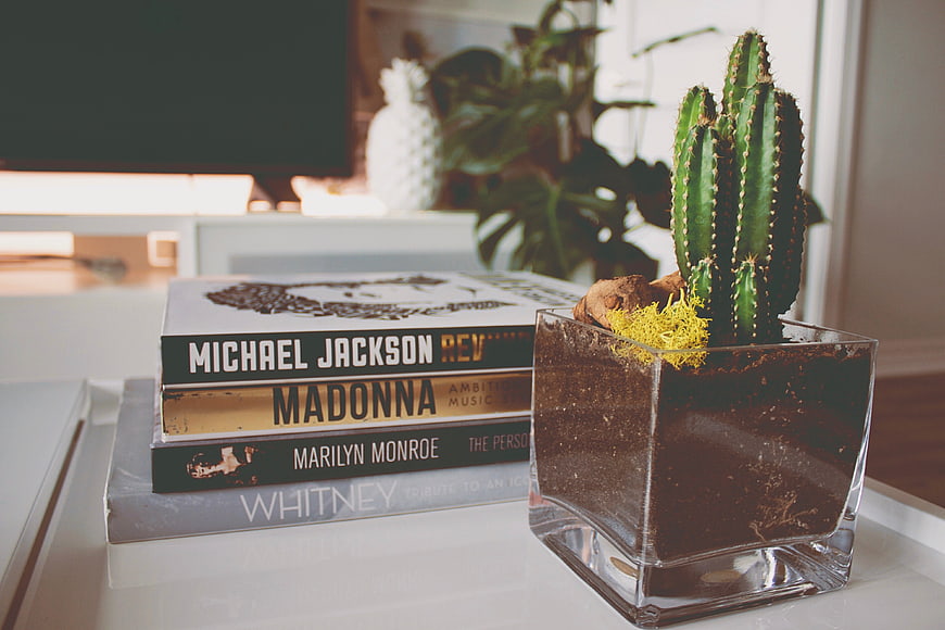 Stack of celebrity biography books next to a potted cactus