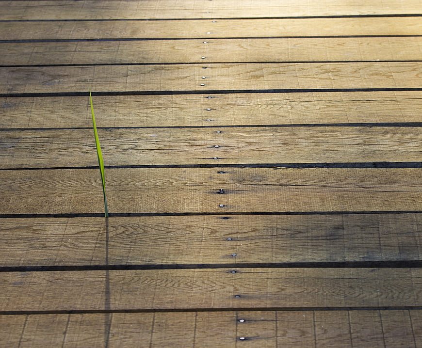 Single green blade of grass growing through wooden deck planks