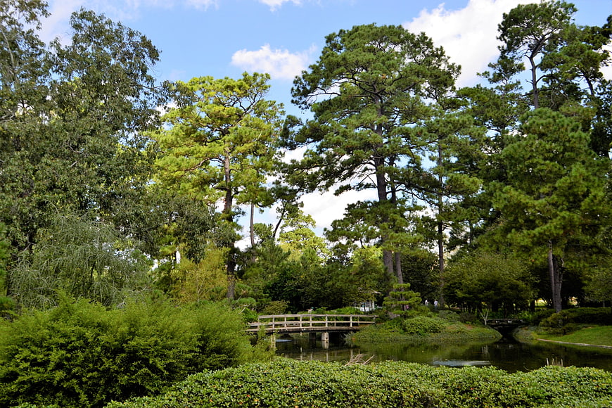 Serene Japanese Garden with Wooden Bridge and Pond
