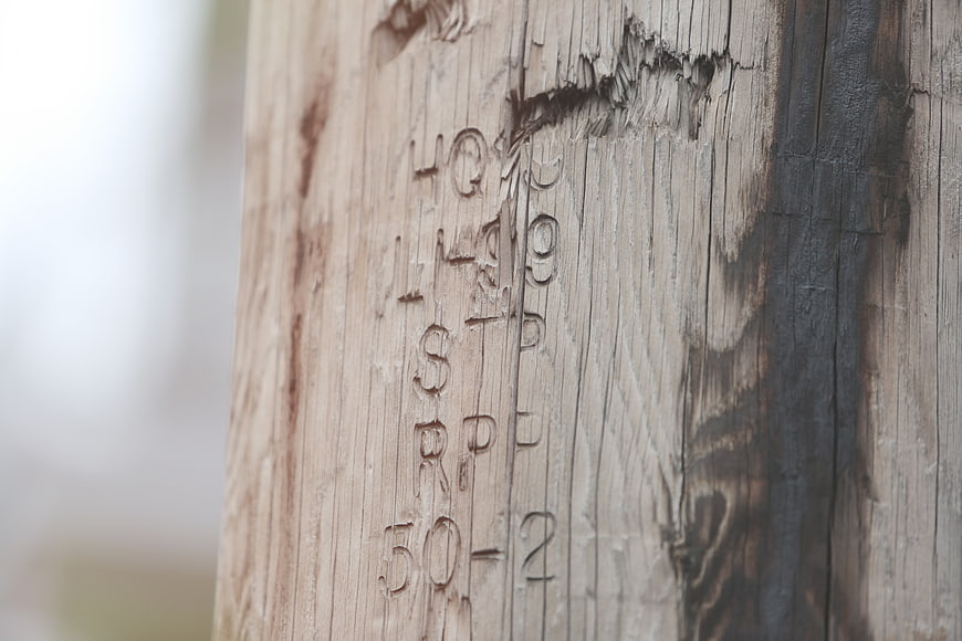 Close-up of stamped letters and numbers on weathered wooden utility pole