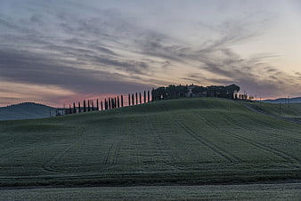 Rolling Tuscan Hills with Cypress Trees at Dusk
