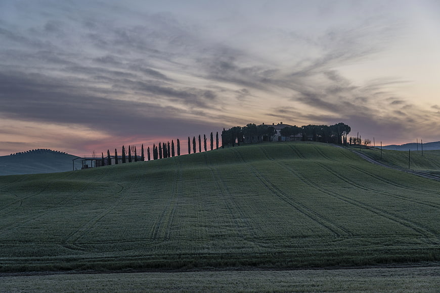 Rolling Tuscan Hills with Cypress Trees at Dusk