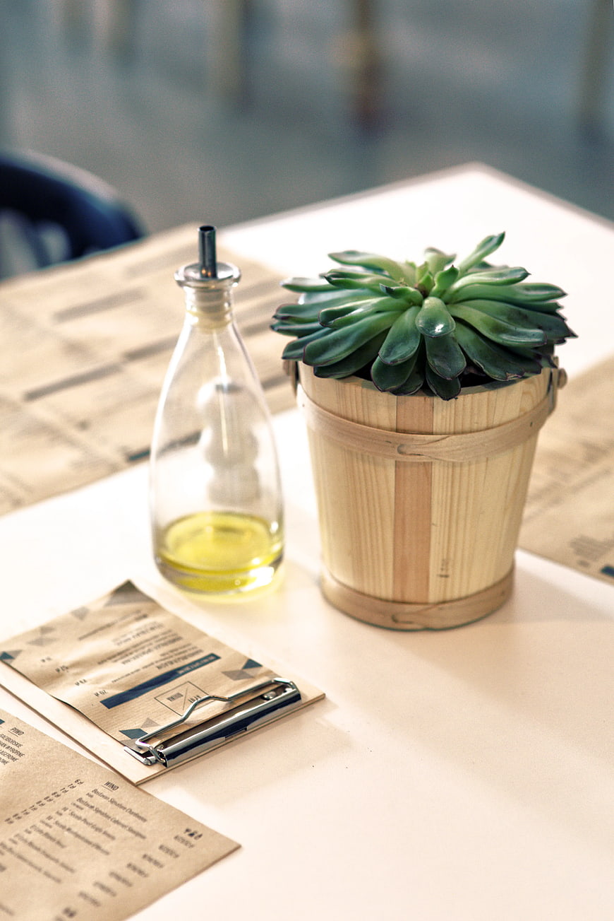 Succulent plant and oil bottle on restaurant table