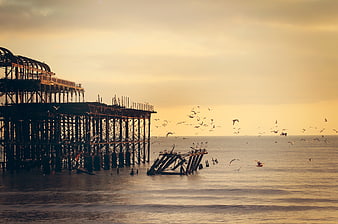 Silhouette of Brighton West Pier Ruins at Sunset with Seagulls