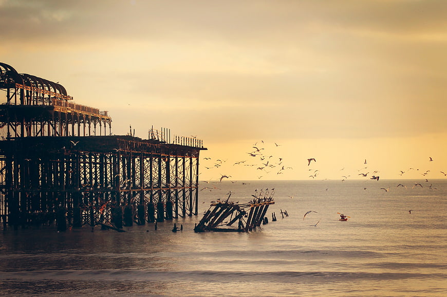 Silhouette of Brighton West Pier Ruins at Sunset with Seagulls