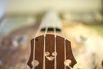 Close-up of vintage bass guitar headstock with strings