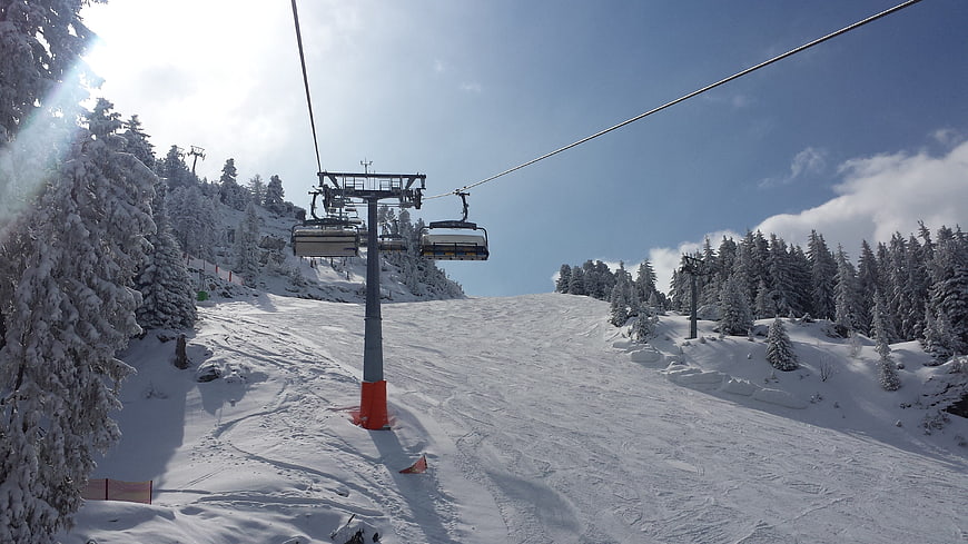 Ski Lift on Snowy Mountain Slope with Pine Trees