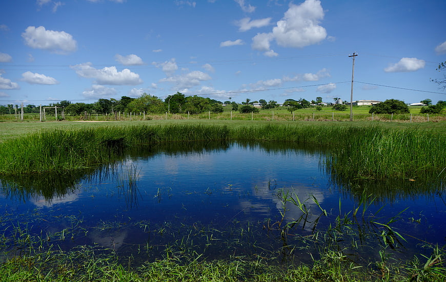 Serene Pond with Blue Sky Reflection in Rural Landscape