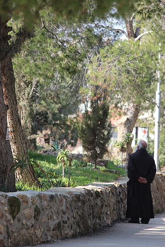 Senior monk in black robe walking on stone path in garden
