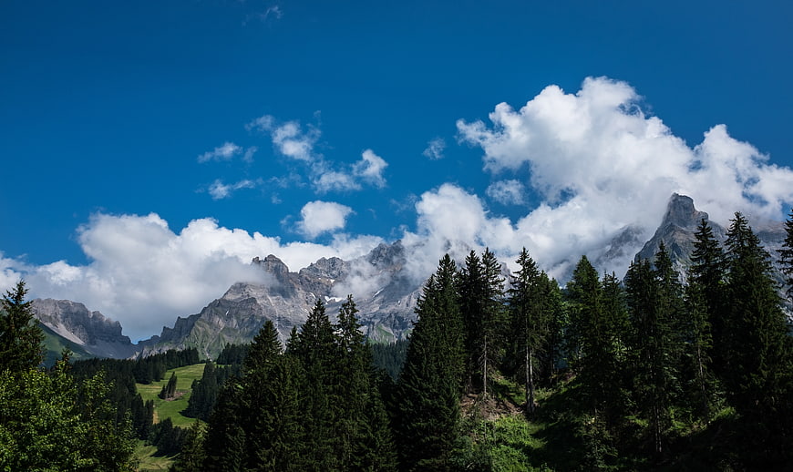 Majestic Alpine Mountain Peaks with Pine Forest and Blue Sky