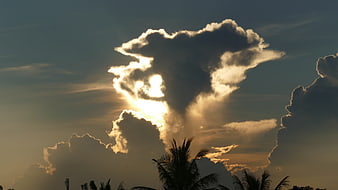 Dramatic Sun Rays Through Clouds Over Palm Trees