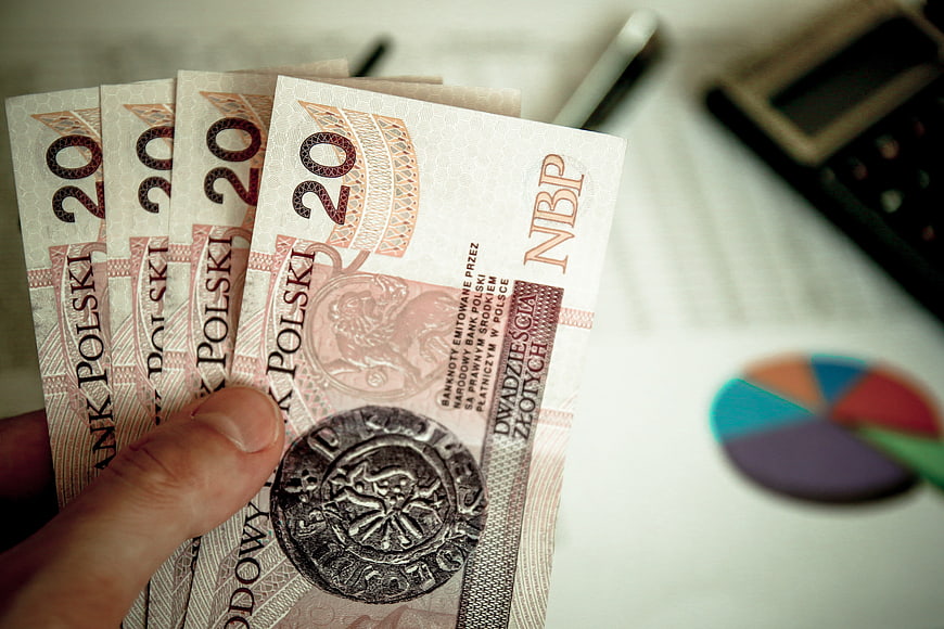 Hand Holding Polish 20 Zloty Banknotes Near Calculator and Pie Chart