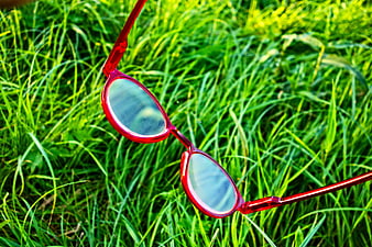Red sunglasses resting on lush green grass