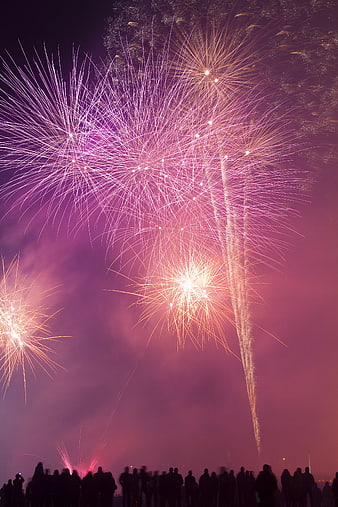 Vibrant purple and gold fireworks exploding over a crowd at night