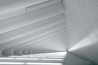 Abstract White Modern Architecture Tunnel with Repeating Lines